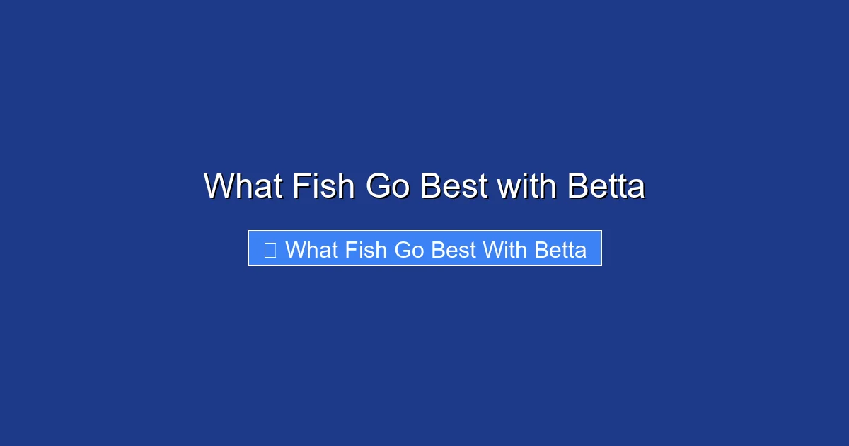 What Fish Go Best with Betta