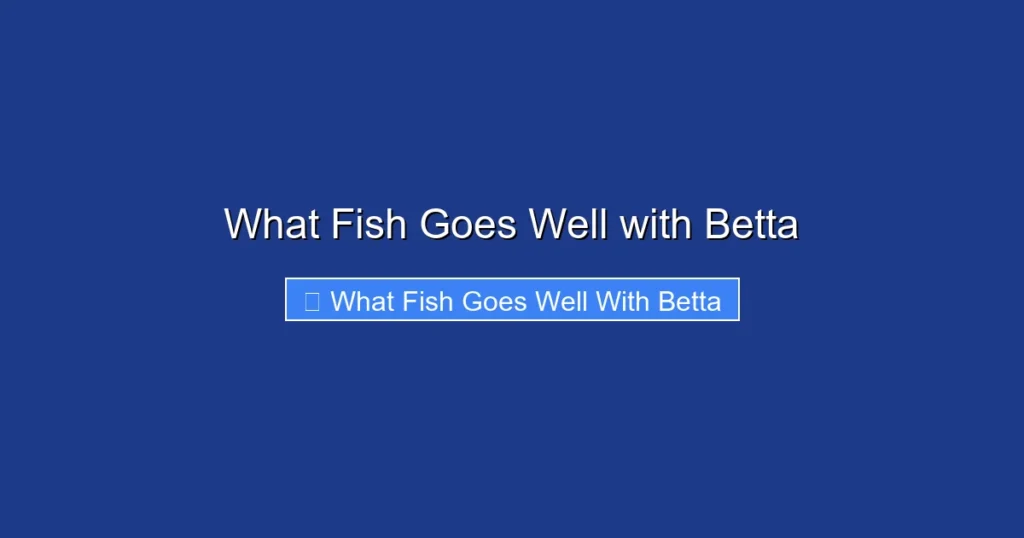 What Fish Goes Well with Betta