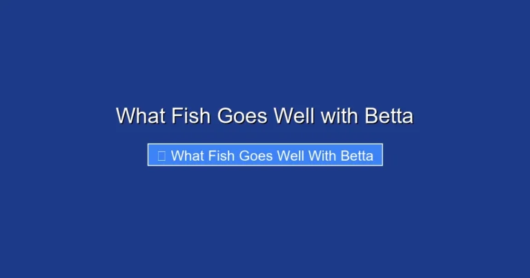 What Fish Goes Well with Betta