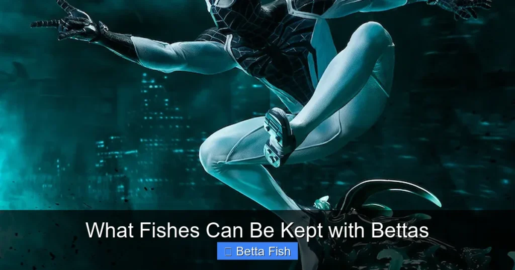 What Fishes Can Be Kept with Bettas