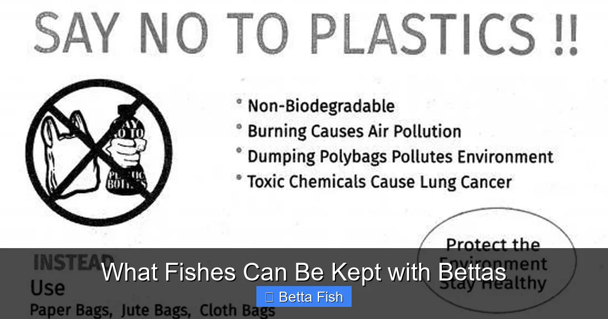 What Fishes Can Be Kept with Bettas
