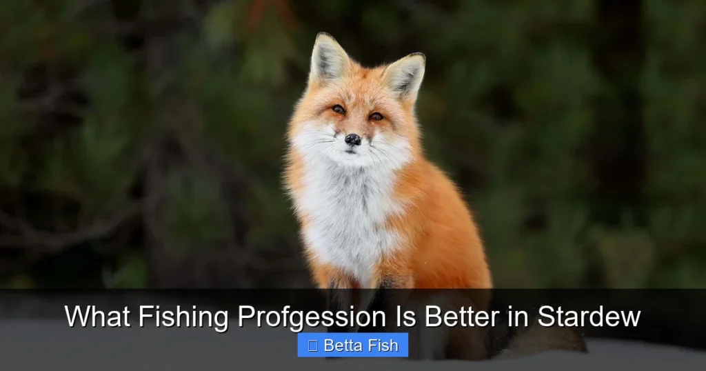 What Fishing Profgession Is Better in Stardew