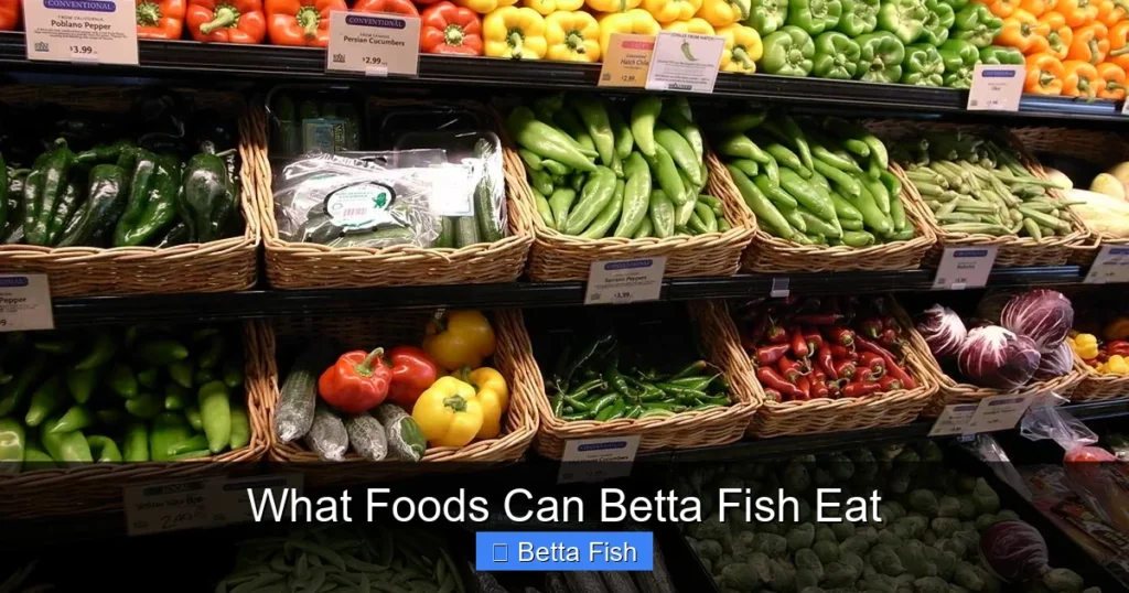 What Foods Can Betta Fish Eat