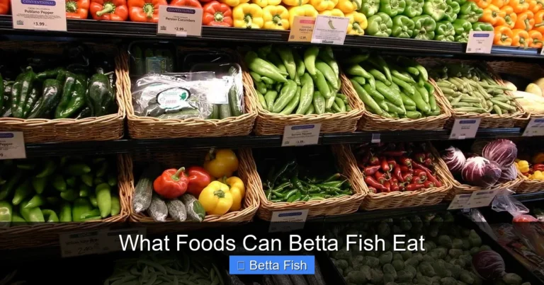 What Foods Can Betta Fish Eat