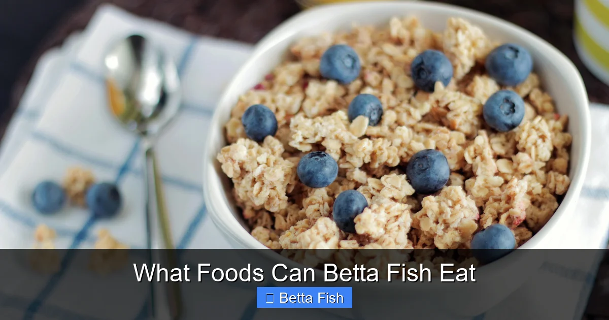 What Foods Can Betta Fish Eat