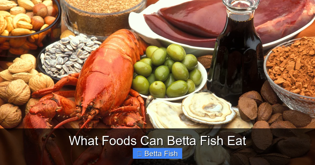 What Foods Can Betta Fish Eat