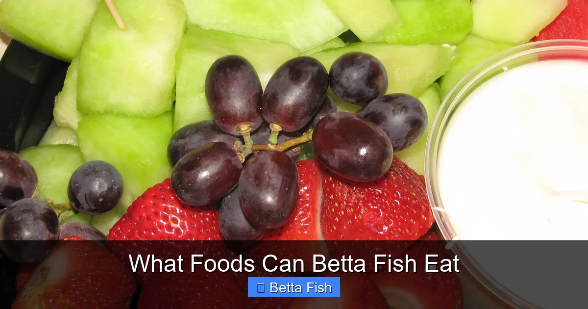 What Foods Can Betta Fish Eat