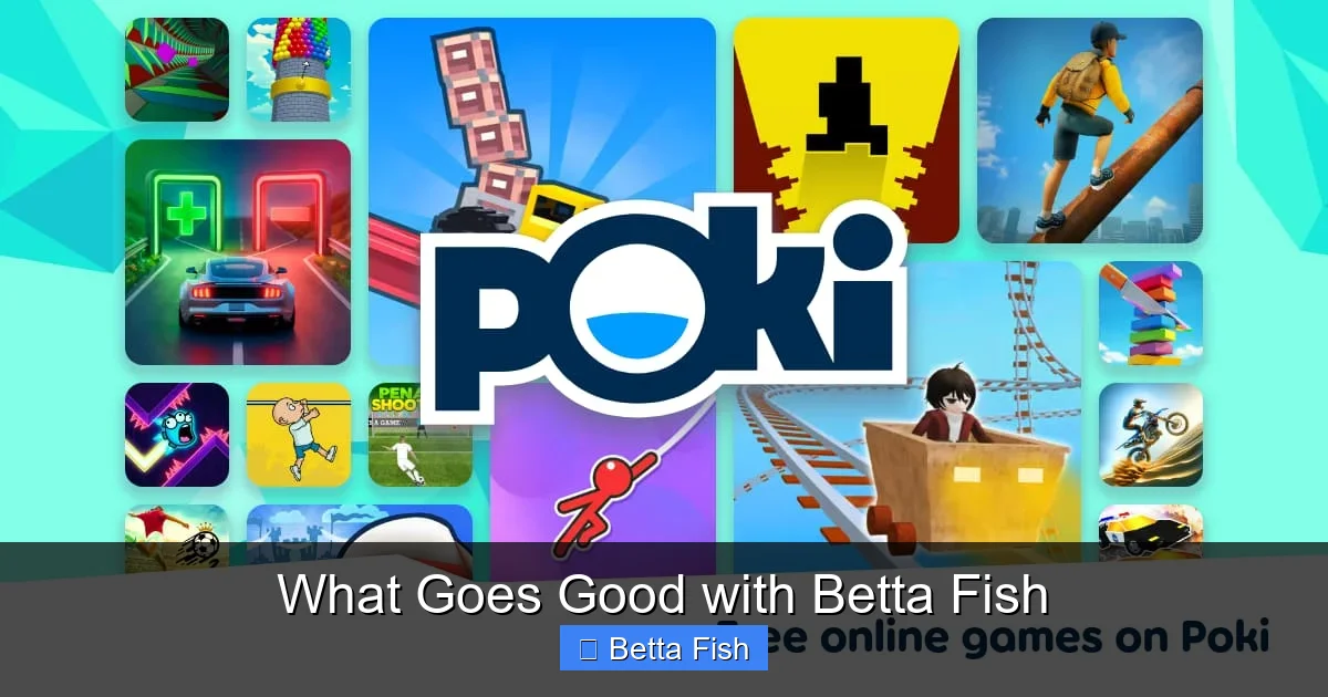 What Goes Good with Betta Fish