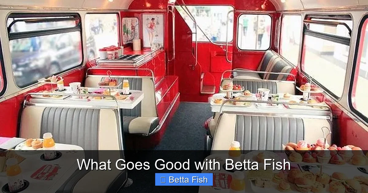 What Goes Good with Betta Fish