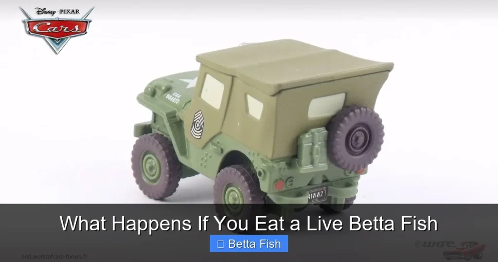 What Happens If You Eat a Live Betta Fish