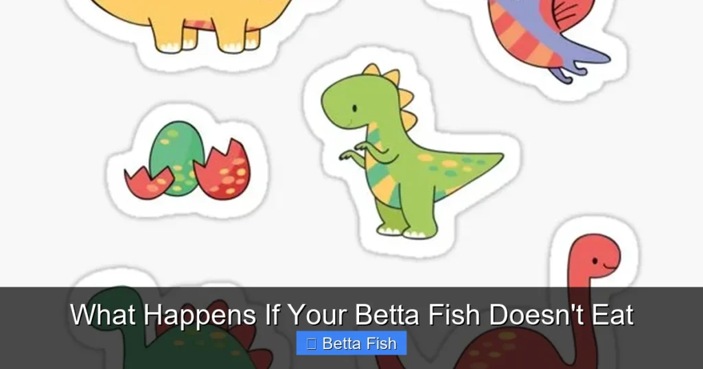 What Happens If Your Betta Fish Doesn't Eat