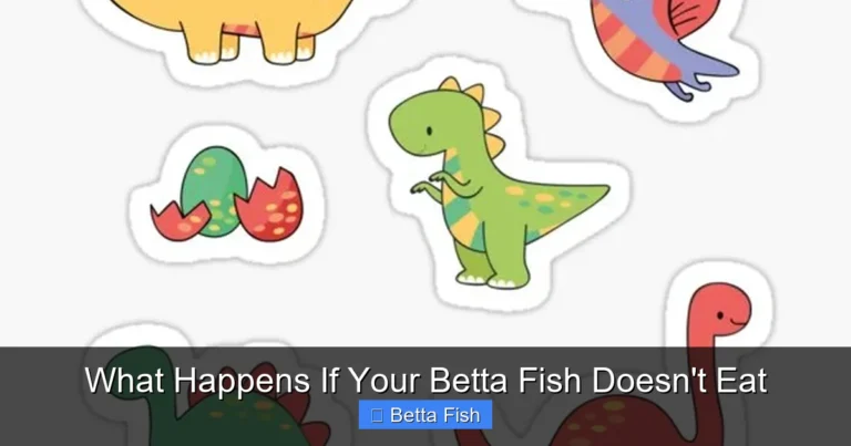 What Happens If Your Betta Fish Doesn't Eat