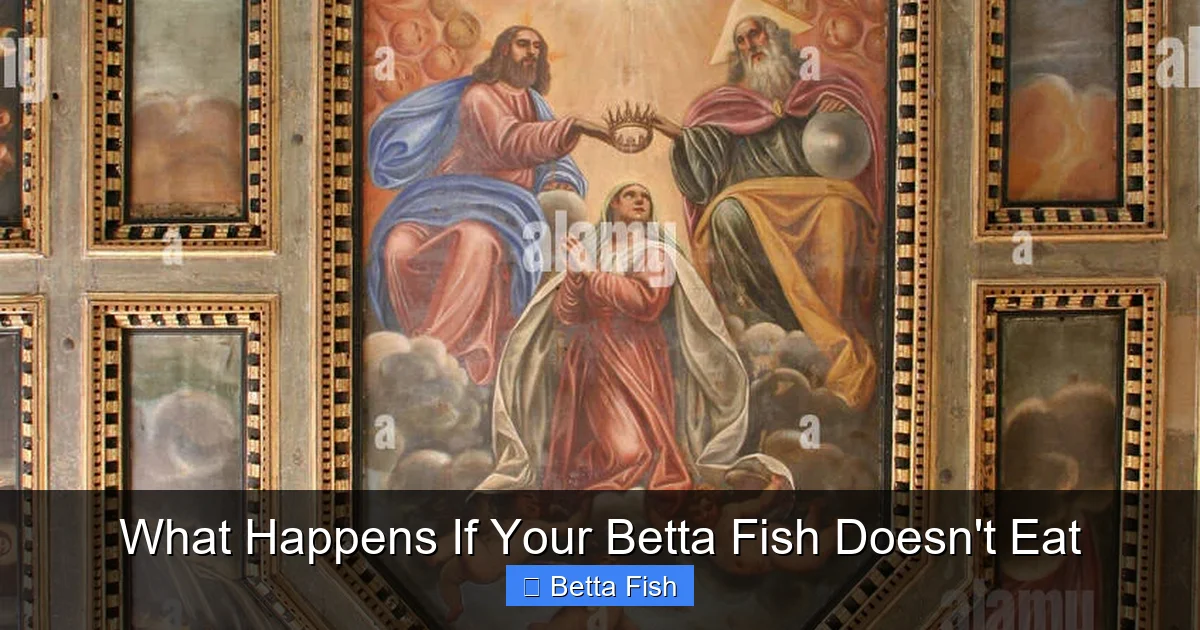What Happens If Your Betta Fish Doesn't Eat