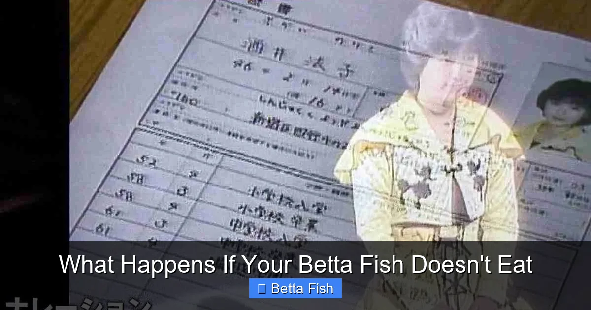 What Happens If Your Betta Fish Doesn't Eat