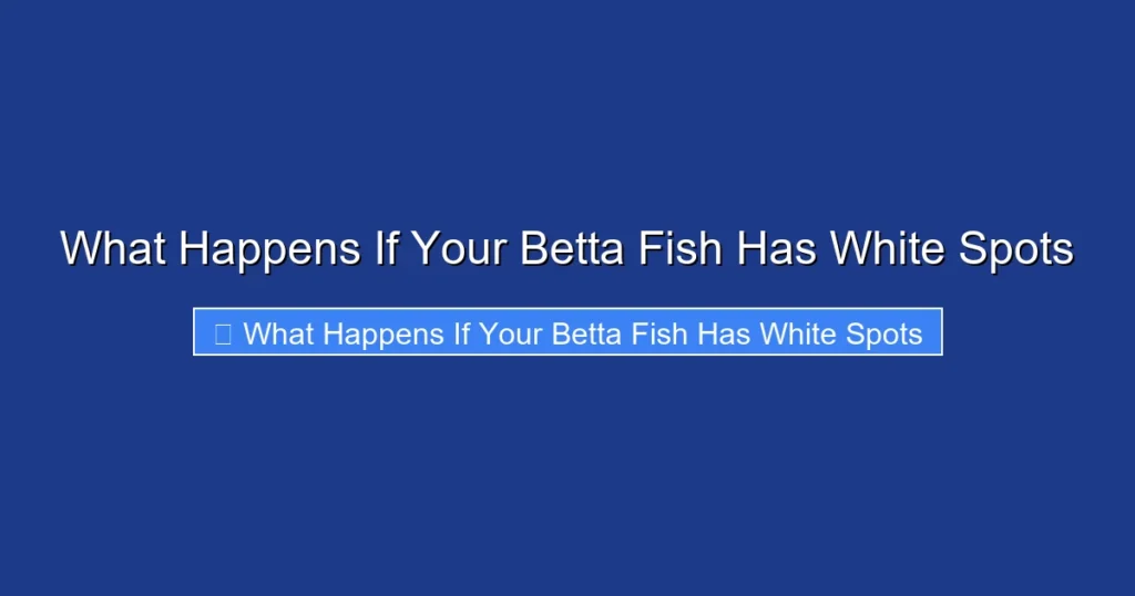 What Happens If Your Betta Fish Has White Spots