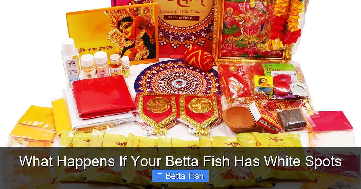 What Happens If Your Betta Fish Has White Spots