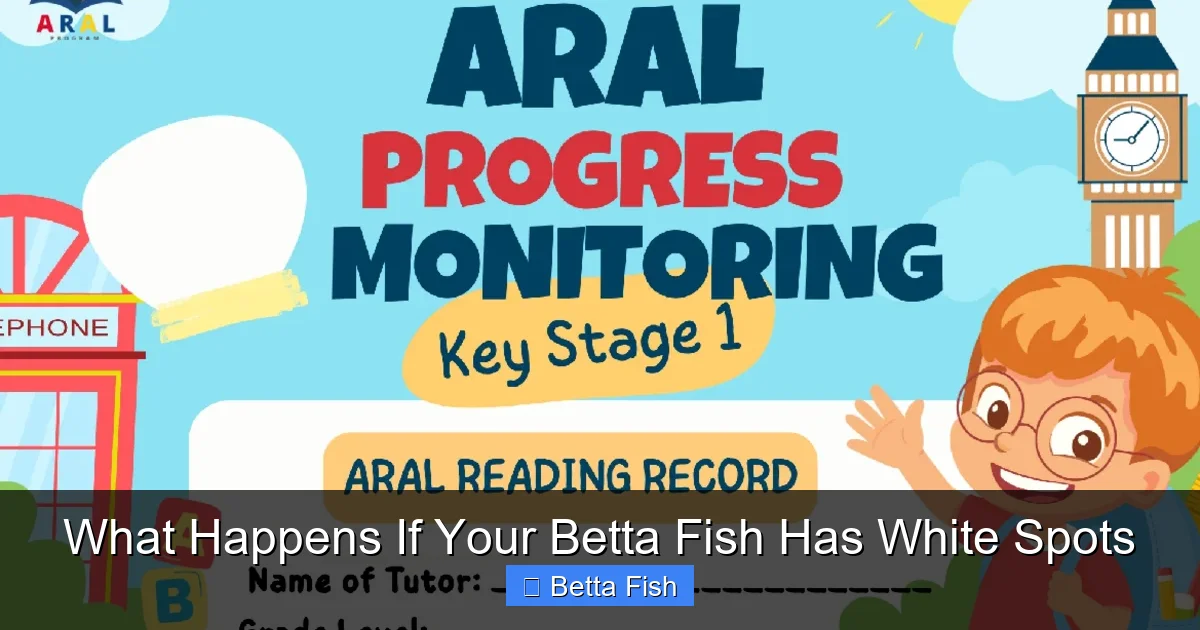 What Happens If Your Betta Fish Has White Spots