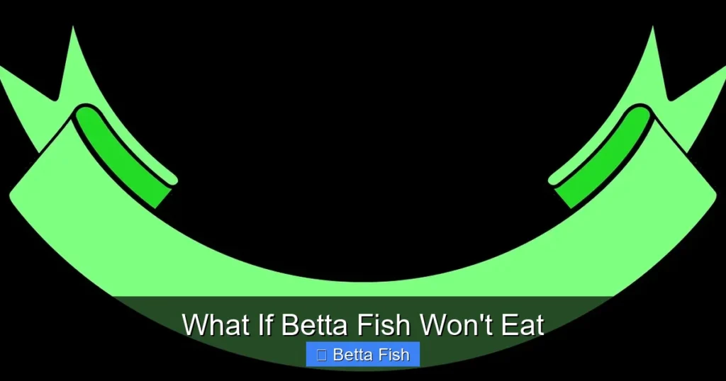 What If Betta Fish Won't Eat