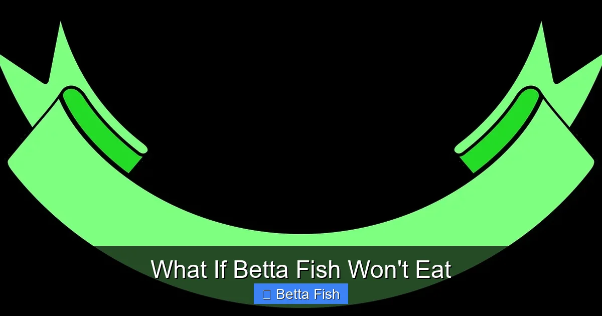 What If Betta Fish Won't Eat