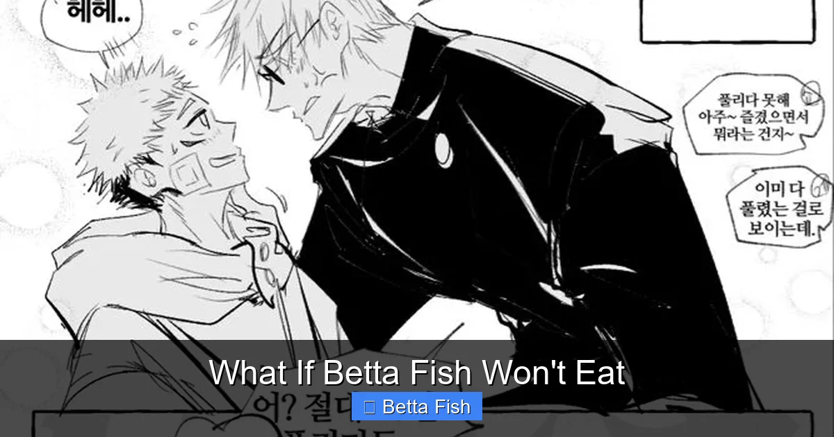 What If Betta Fish Won't Eat