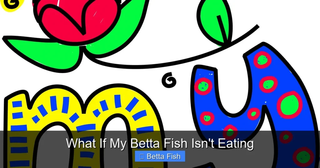 What If My Betta Fish Isn't Eating