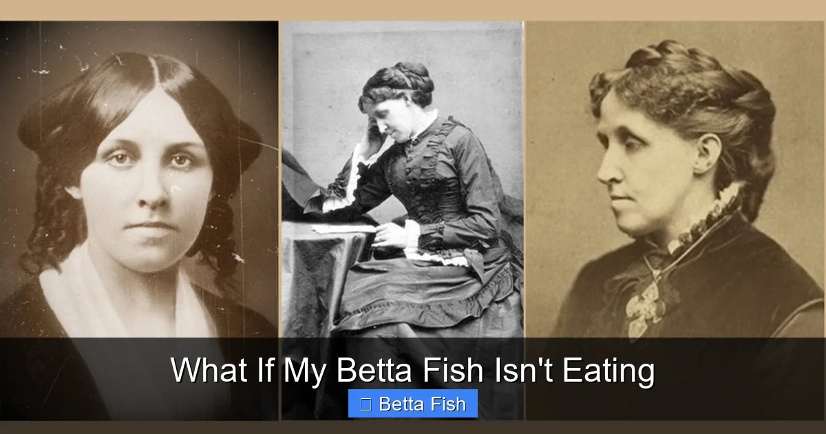 What If My Betta Fish Isn't Eating