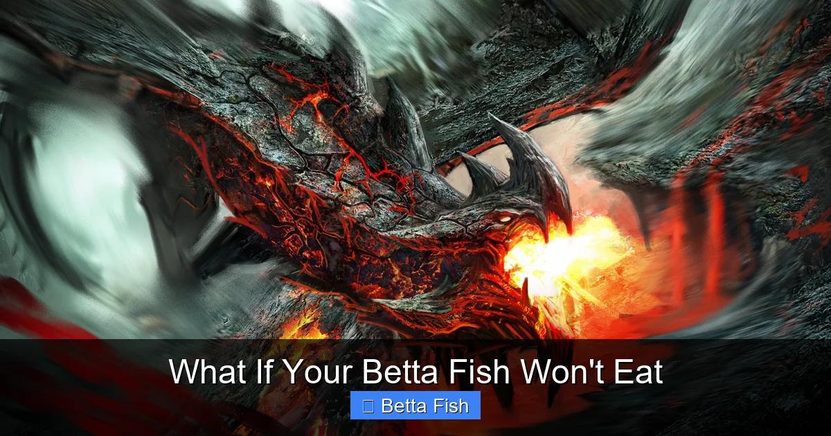 What If Your Betta Fish Won't Eat