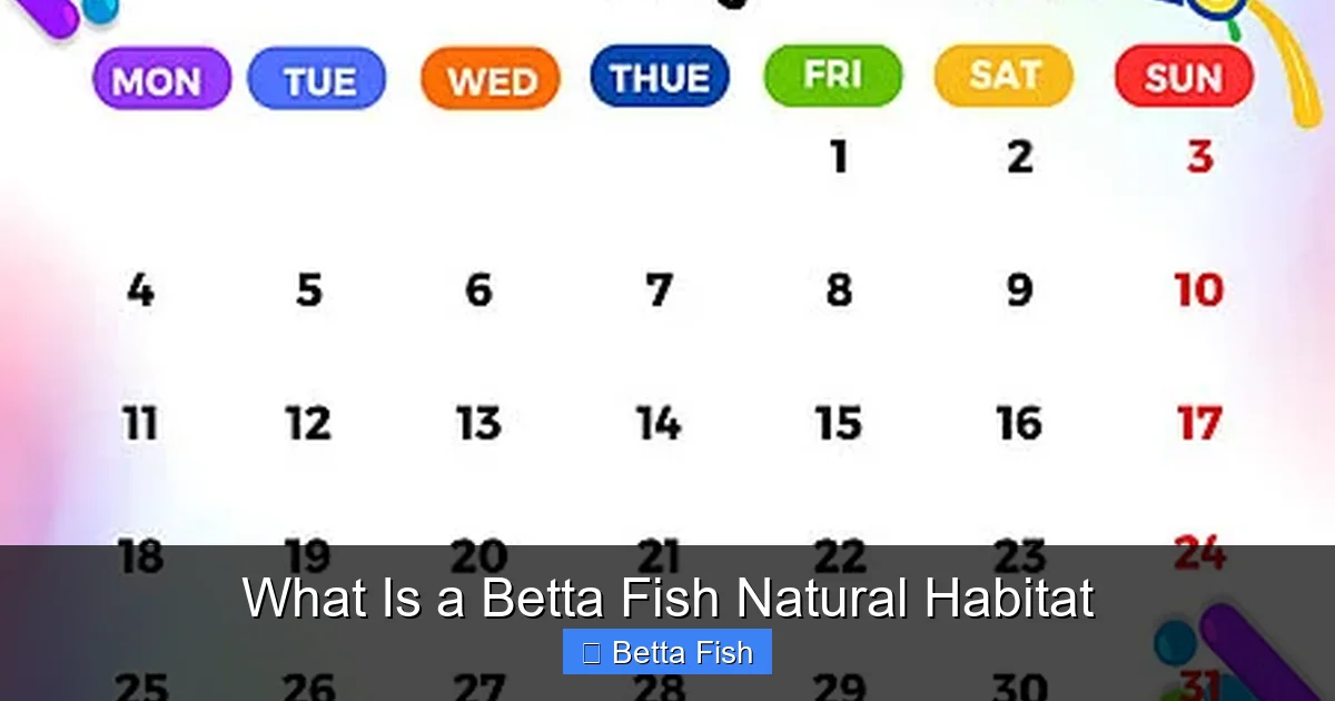 What Is a Betta Fish Natural Habitat