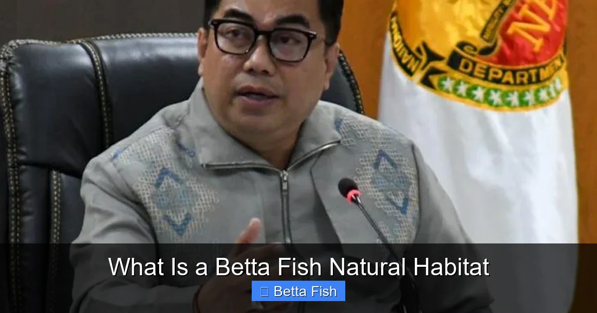 What Is a Betta Fish Natural Habitat