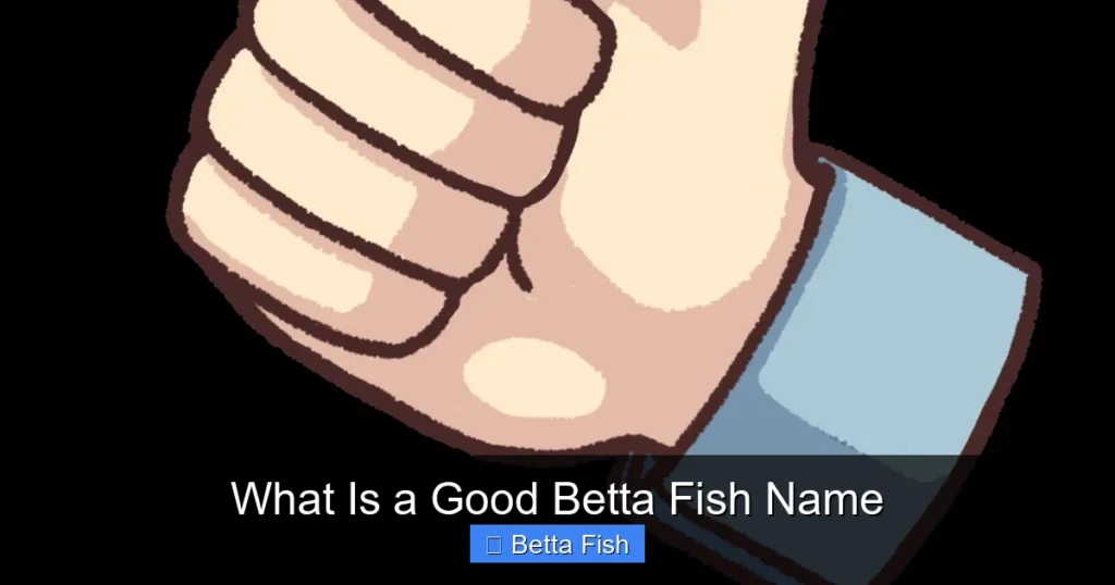 What Is a Good Betta Fish Name