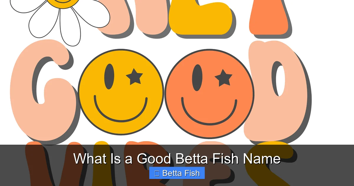 What Is a Good Betta Fish Name