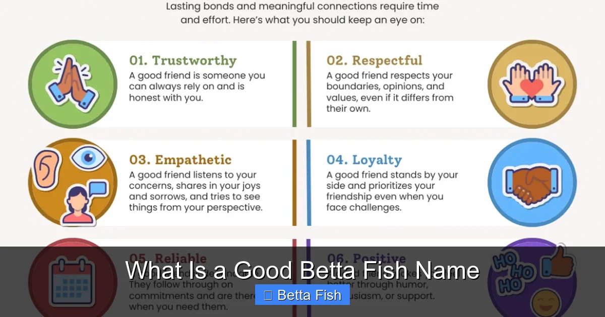 What Is a Good Betta Fish Name
