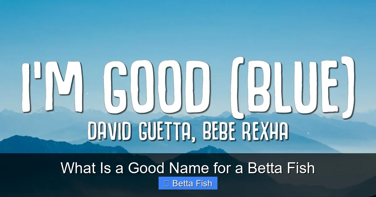 What Is a Good Name for a Betta Fish