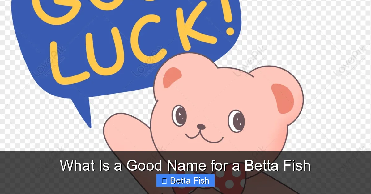 What Is a Good Name for a Betta Fish