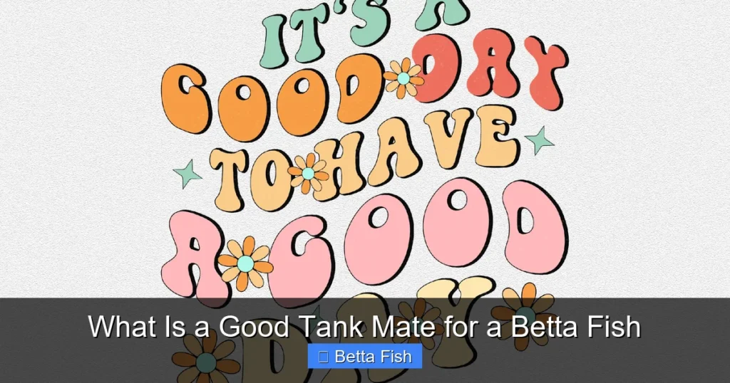 What Is a Good Tank Mate for a Betta Fish