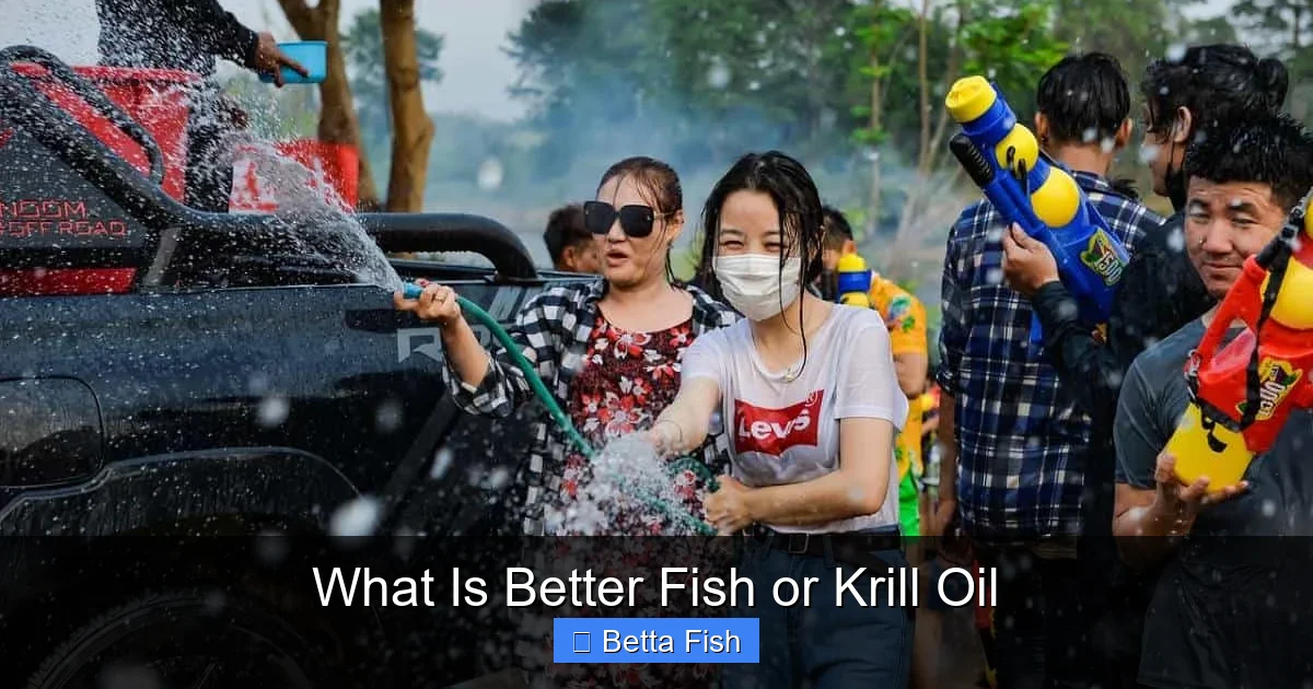 What Is Better Fish or Krill Oil