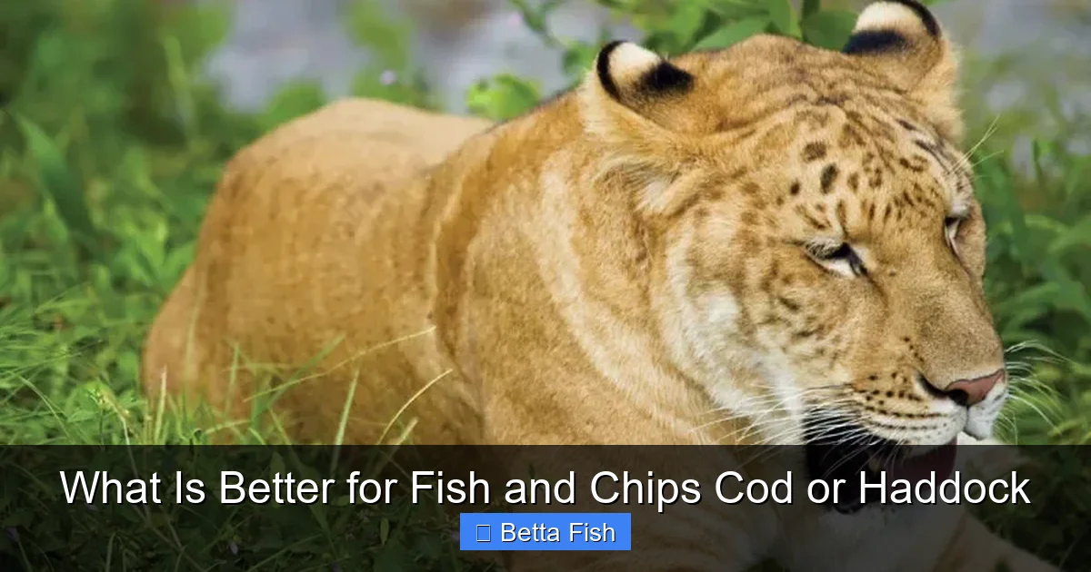 What Is Better for Fish and Chips Cod or Haddock