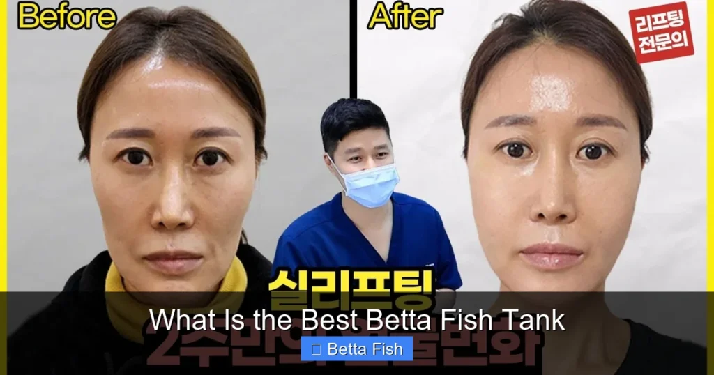 What Is the Best Betta Fish Tank