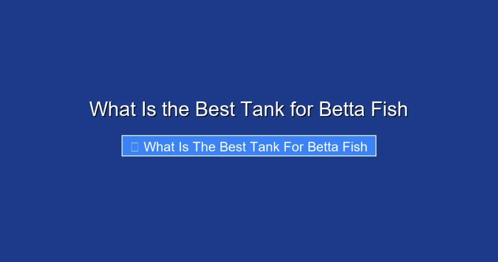 What Is the Best Tank for Betta Fish