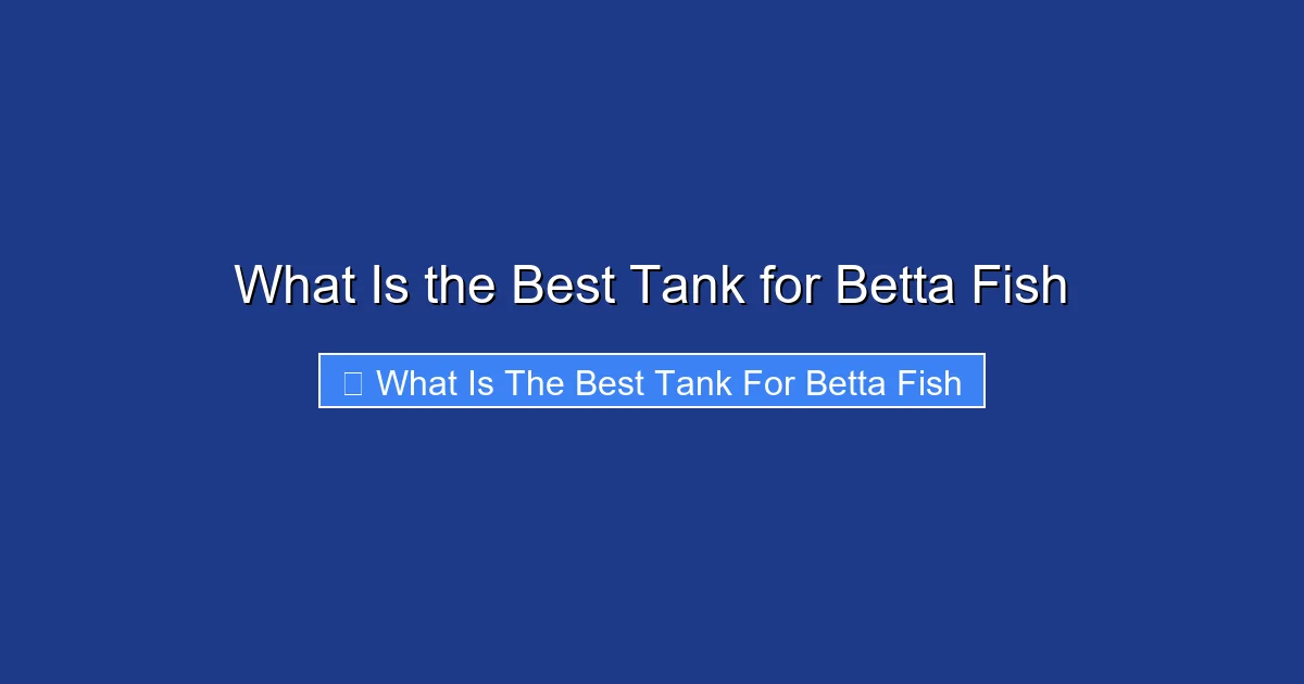 What Is the Best Tank for Betta Fish