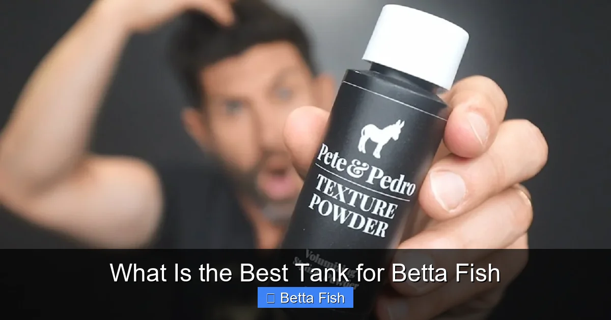 What Is the Best Tank for Betta Fish