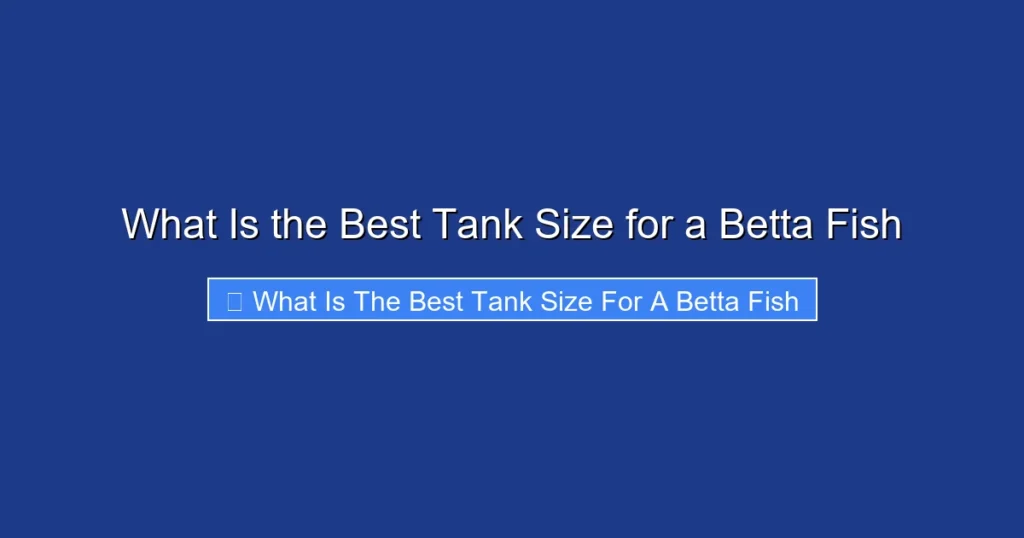 What Is the Best Tank Size for a Betta Fish