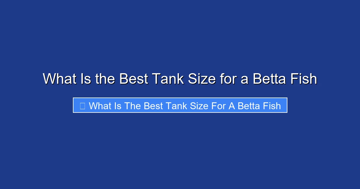 What Is the Best Tank Size for a Betta Fish