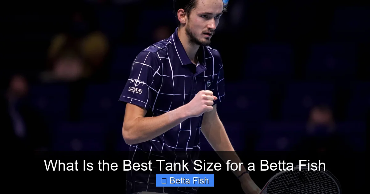 What Is the Best Tank Size for a Betta Fish