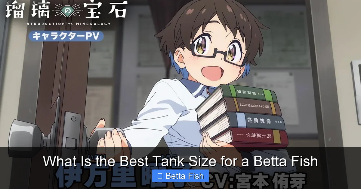 What Is the Best Tank Size for a Betta Fish