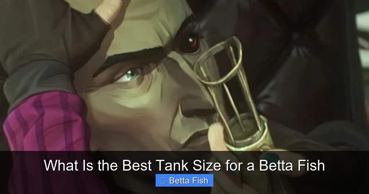 What Is the Best Tank Size for a Betta Fish