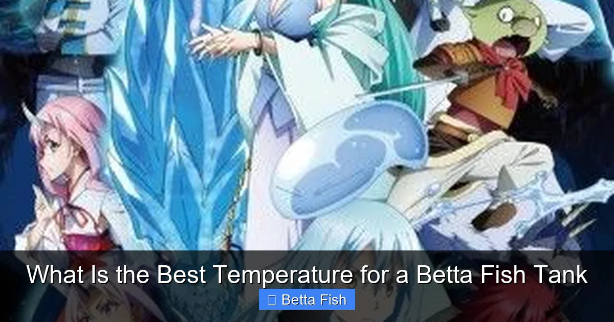 What Is the Best Temperature for a Betta Fish Tank