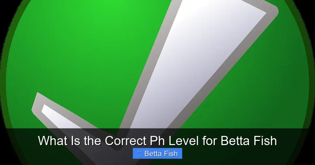 What Is the Correct Ph Level for Betta Fish
