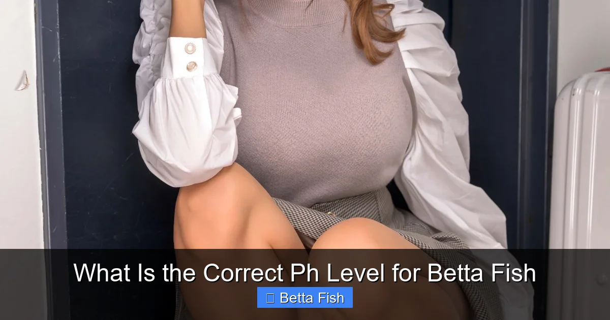 What Is the Correct Ph Level for Betta Fish