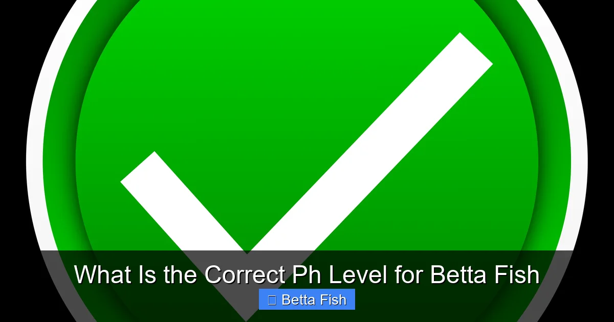 What Is the Correct Ph Level for Betta Fish